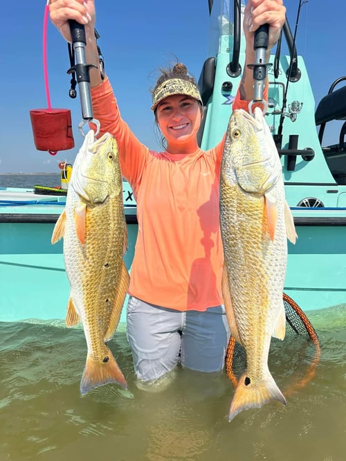 Inshore Fishing Trip