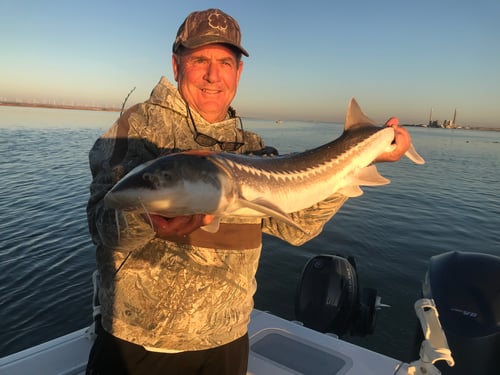 Sturgeon / Striped Bass Trip