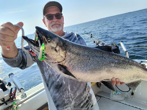 Salmon & Trout Fishing 