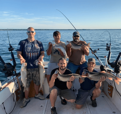 Spring Blitz Trip