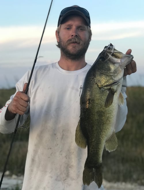 Everglades Peacock Bass Adventure