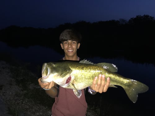 Everglades Peacock Bass Adventure