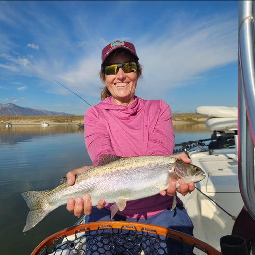 Trout & Bass Eastern Sierra 