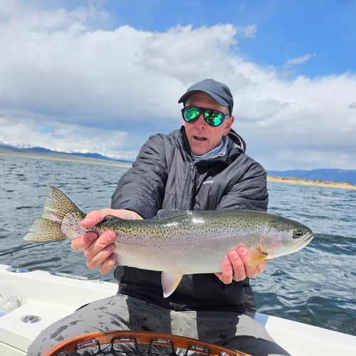 Trout & Bass Eastern Sierra 