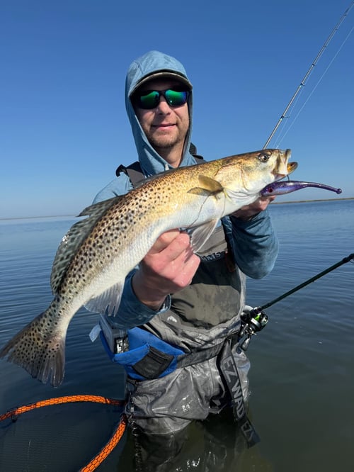 Wade Fishing