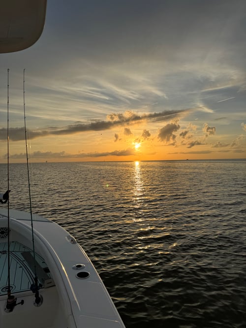 Tripletail Fishing Trip