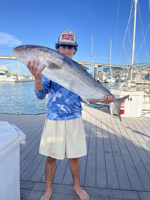 Offshore Adventure 