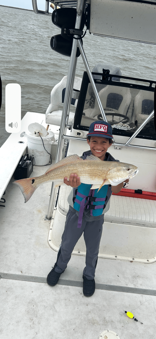 Bay Fish Trip 