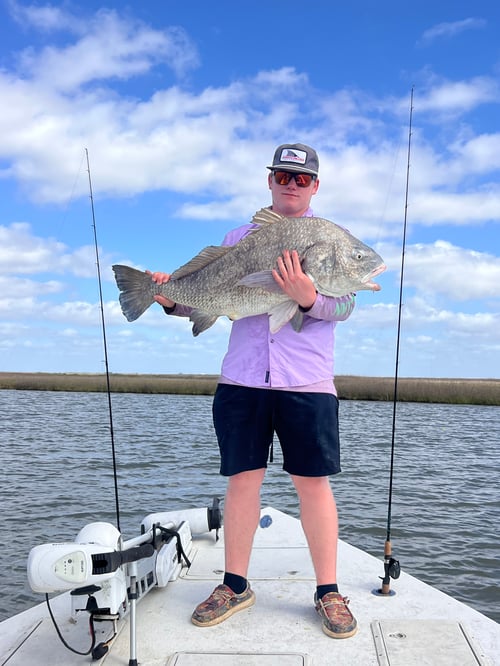 Bay Fish Trip 