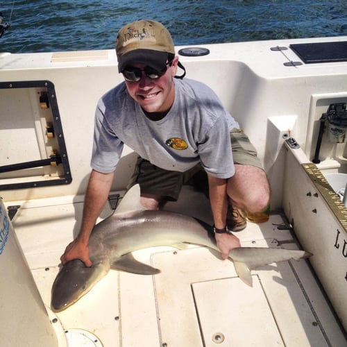 Shark Fishing
