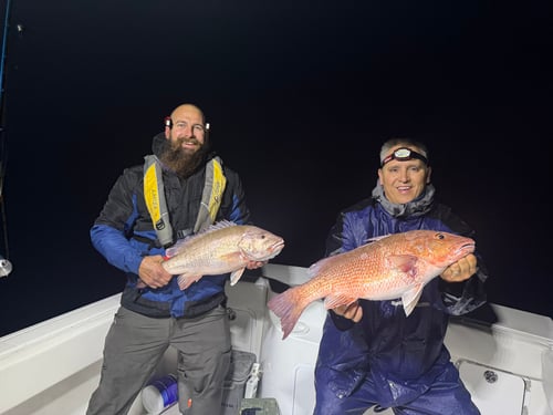 1/2 Day Federal Snapper Trip