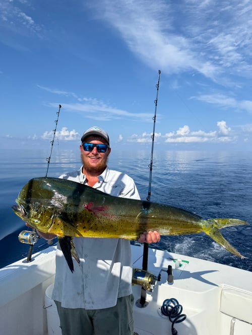 Full Day Offshore Fishing 