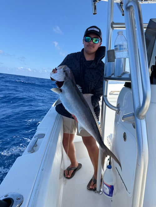 Full Day Offshore Fishing 