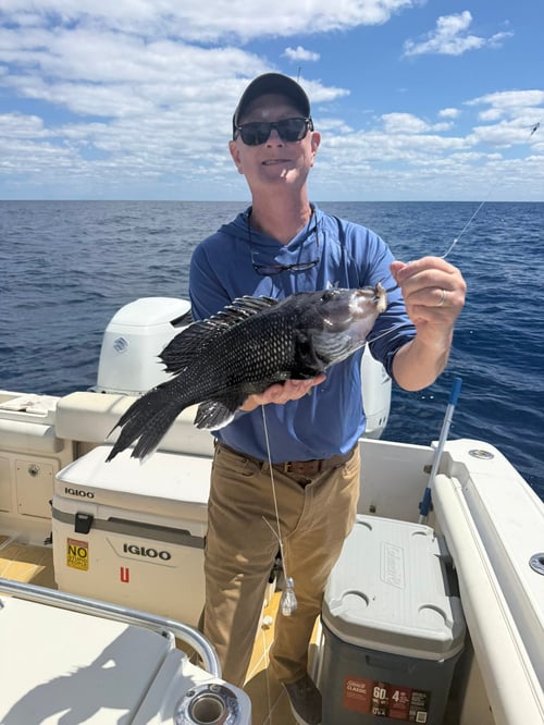 Nearshore & Reef Fishing
