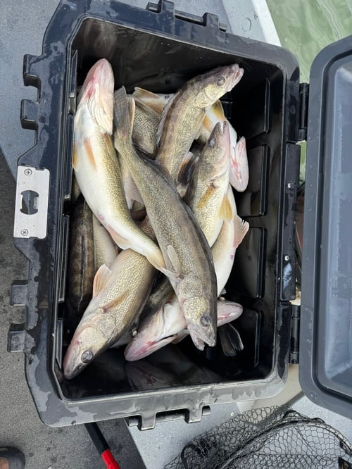 Saginaw Bay Trolling
