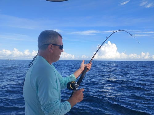 Hilton Head Nearshore Fishing