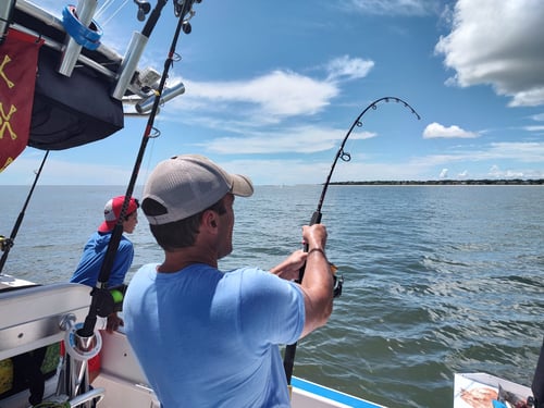 Hilton Head Nearshore Fishing