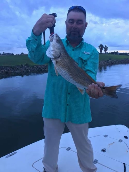 Freeport Jetty Adventure 