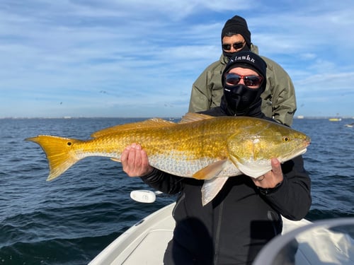 Inshore Fishing Trip