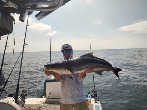 Hilton Head Offshore Fishing