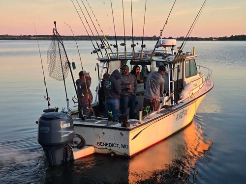 Offshore Lake Trout Fishing