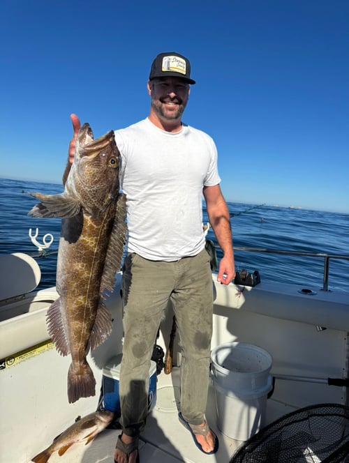 4-8 Hours Ocean Fishing SF