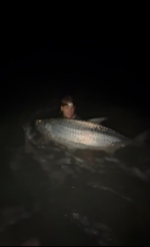 Nightime Shark Fishing Charter 