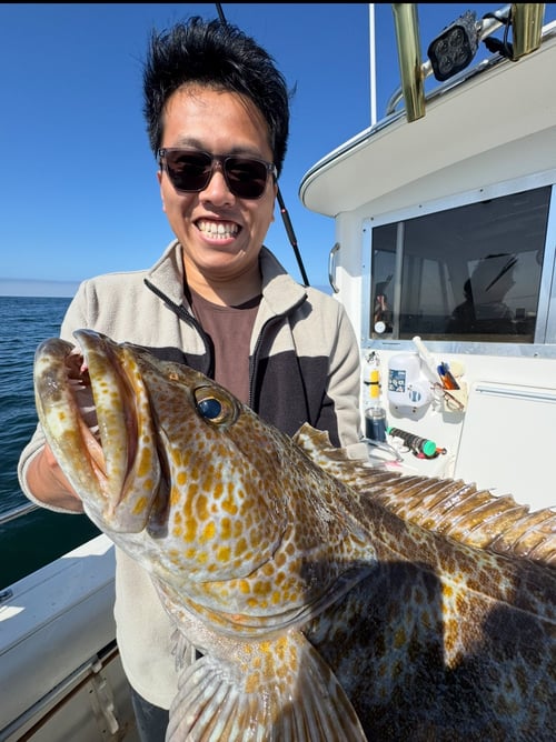 Catch And Release Trip