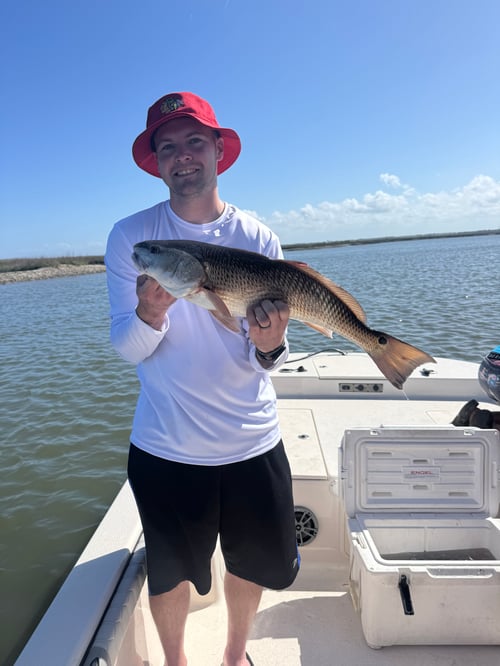 4 Hour Inshore Trip