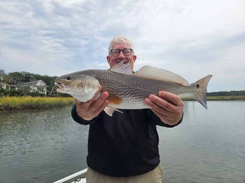 6-hour Inshore Trip