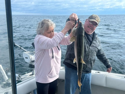 Lake Ontario Trolling