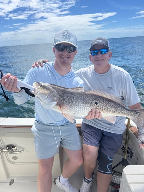 6 Hour Inshore Fishing Trip