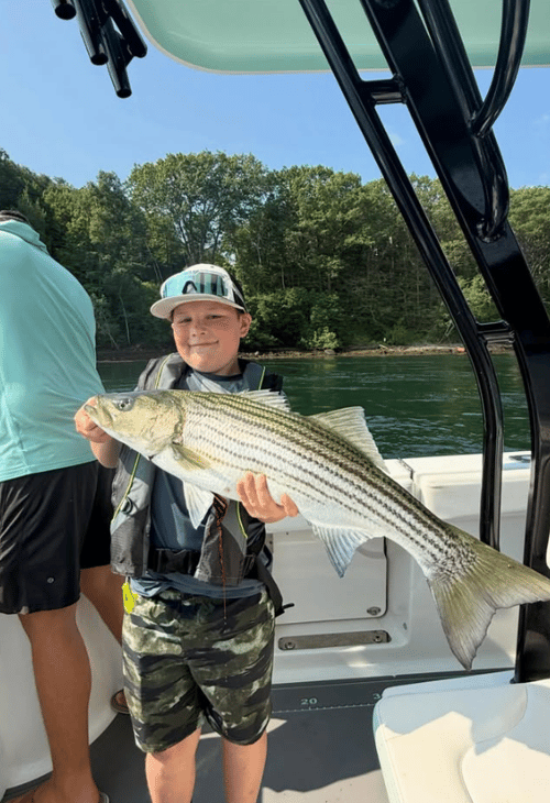 Striped Bass Fishing - 33' Onslow