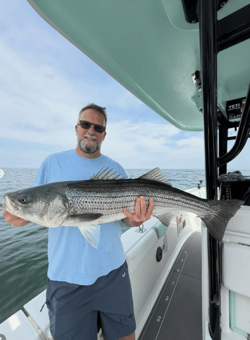 Striped Bass Fishing - 33' Onslow