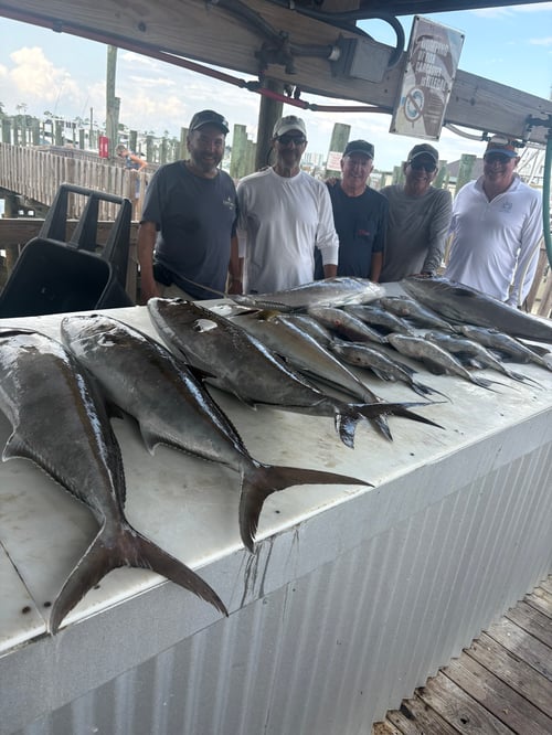 6-12 Hour Offshore Trip