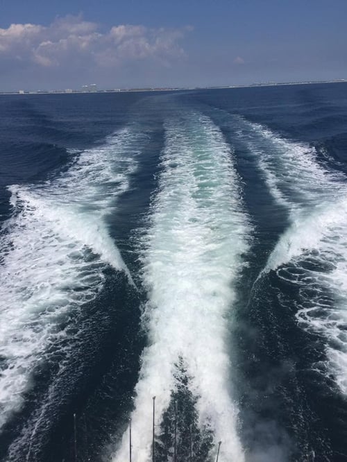 4-6 Hour Trip – Trolling 