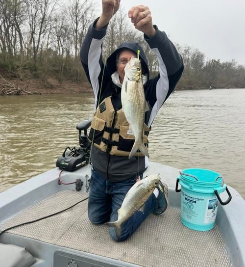 4-6 Hour Trip – Shad