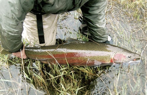 Freshwater Charter