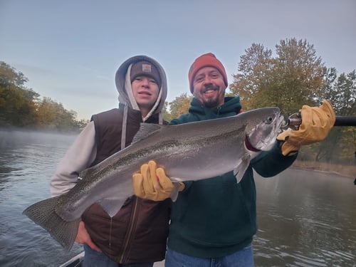4-6 Hour Salmon Trip