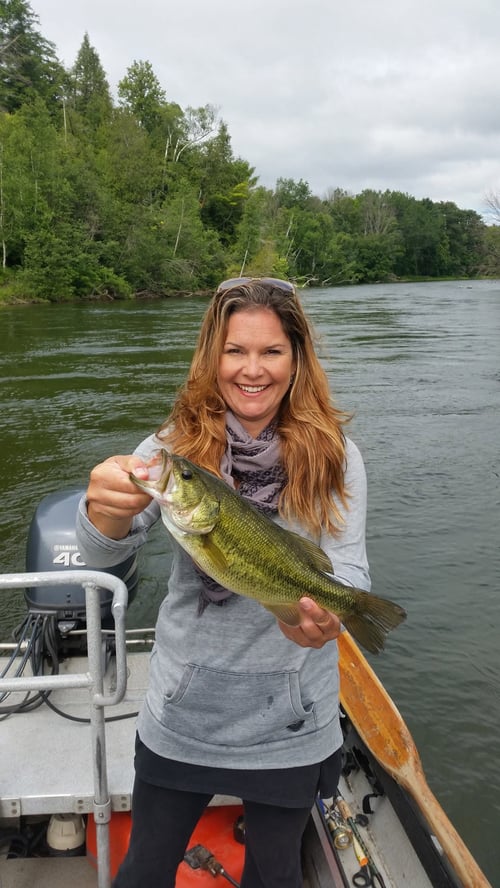 4-8 Hour Bass Pike
