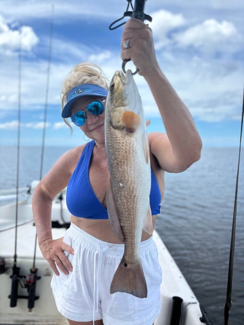 Steinhatchee Florida Fishing