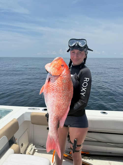 Full Day Fishing 8 Hour