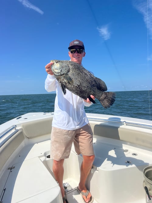 10 Hour Wreck Trip