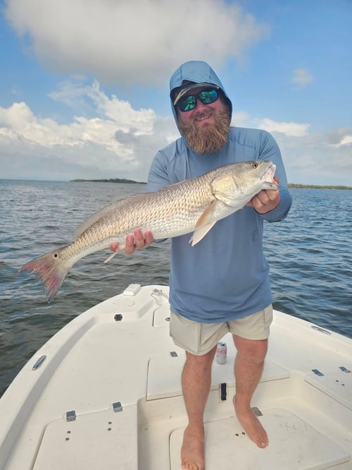 4-8 Hour Inshore Trip
