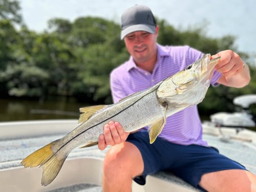 4-8 Hour Trip – Inshore