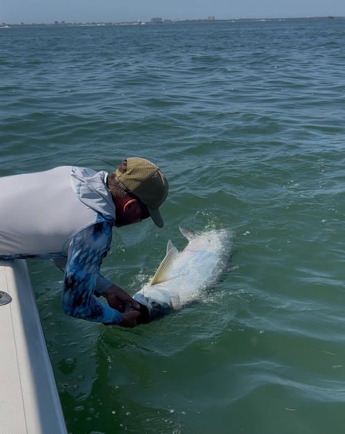 4-8 Hour Trip – Tarpon