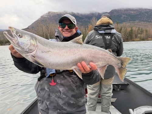 Salmon Fishing Trip