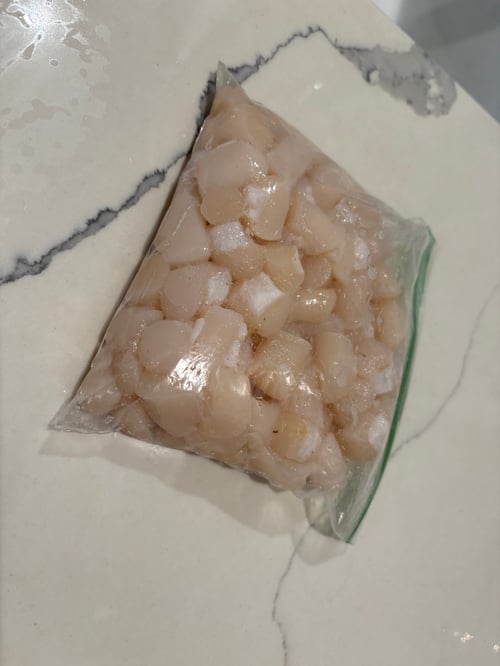 Pasco Scallop Snorkelling