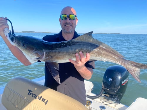 4hr Inshore Fishing