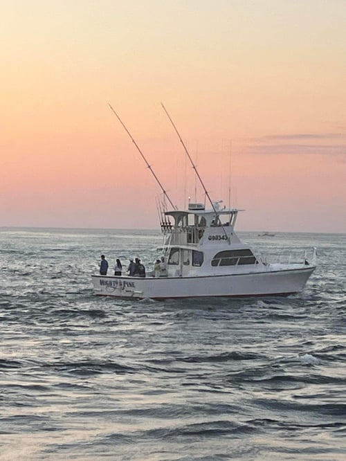 8 Hr Offshore Fishing